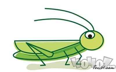 蝗虫集体出动时整整齐齐路线一致这是为了 蚂蚁庄园每日一题5月20日答案