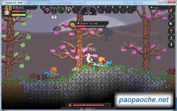 星界边境全宠物坐标攻略