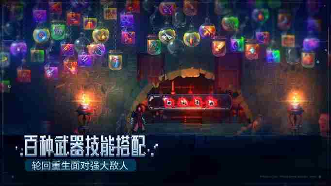 重生细胞防沉迷怎么解除