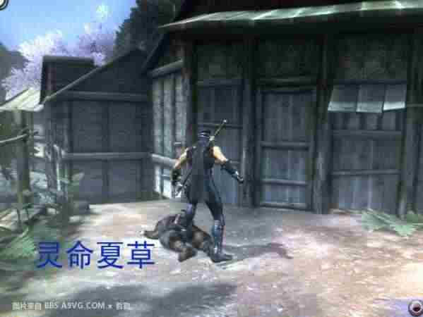 PS3忍者龙剑传2流程图文详解第二章