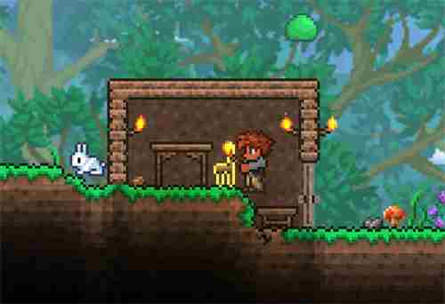 泰拉瑞亚门怎么放 为什么房子放不了门