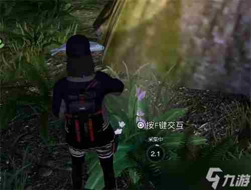 黎明觉醒月见花位置在哪里 明日之后黎明面板在哪里