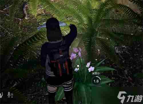 黎明觉醒月见花哪里采 月见花采集点分享