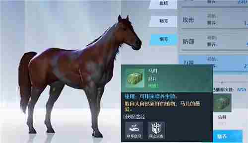 诺亚之心马料怎么获得