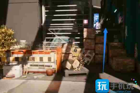 赛博朋克2077四季宝在哪里-四季宝位置介绍