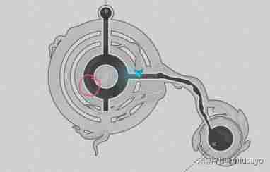 崩坏星穹铁道呓语密林神悟树庭若虫解密攻略