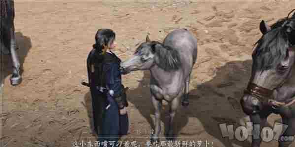 燕云十六声祁氏家驯<a href=/news/rjzx/18889.html target=_blank class=infotextkey>任务完成攻略</a>