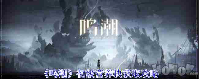 鸣潮攻略 日阶材料怎么获得
