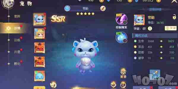 天启圣源职业推荐 天启圣源宠物怎么选