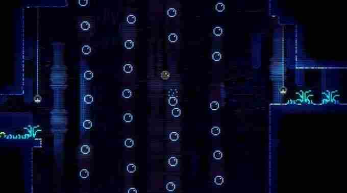 动物井游戏<a href=/news/27527.html target=_blank class=infotextkey>多少钱</a> ps5有动物派对吗