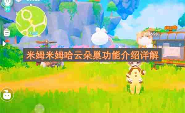 爆改云朵巢#米姆米姆哈公测 如何提高卵巢功能