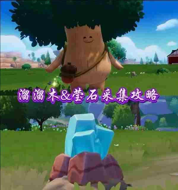 11月13号橡木和萤石位置。11月13号溜溜橡木在3号