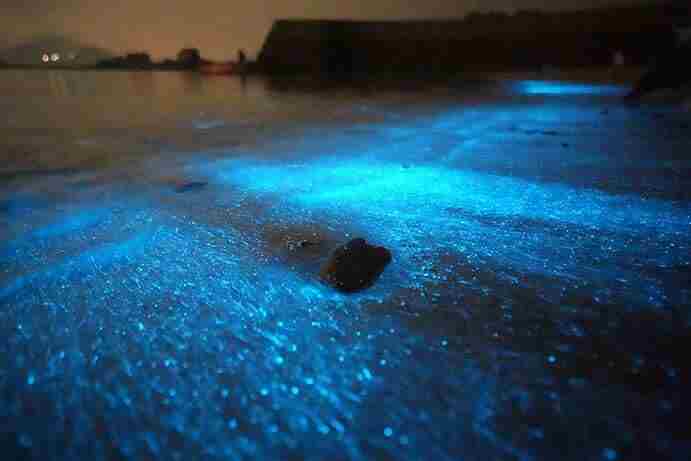 全新初始发型再次上新 倩女手游出过的时装