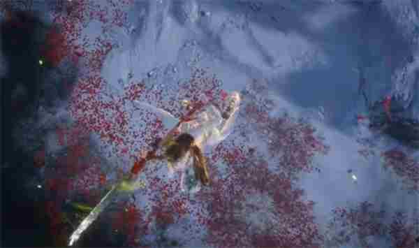 燕云十六声听梅点雪打法攻略 燕云十六声电脑版