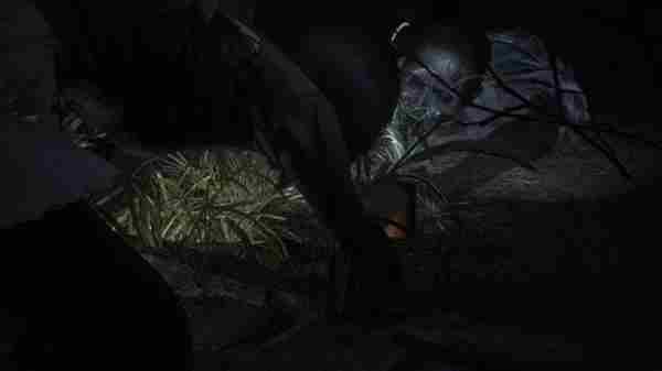 零红蝶重制版玩法机制图文详情介绍