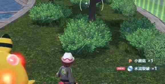 <a href=/news/yjxw/19798.html target=_blank class=infotextkey>宝可梦</a>ZA <a href=/news/yjxw/19798.html target=_blank class=infotextkey>宝可梦</a>传说阿尔宙斯水水獭在哪