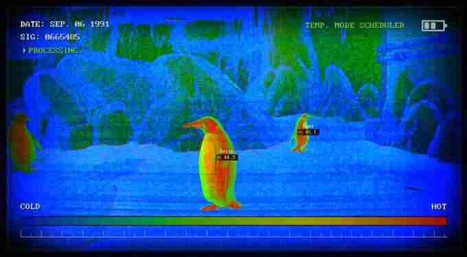 诡异小手!袋鼠上天?!变异生物之诡异动物园!Zoochosis<a href=/news/25986.html target=_blank class=infotextkey>恐怖游戏</a>