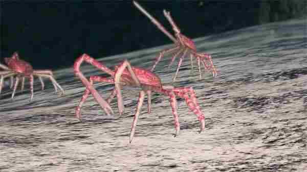 海动态视频 永远的蔚蓝星球<a href=/news/yjxw/17612.html target=_blank class=infotextkey>官网</a>