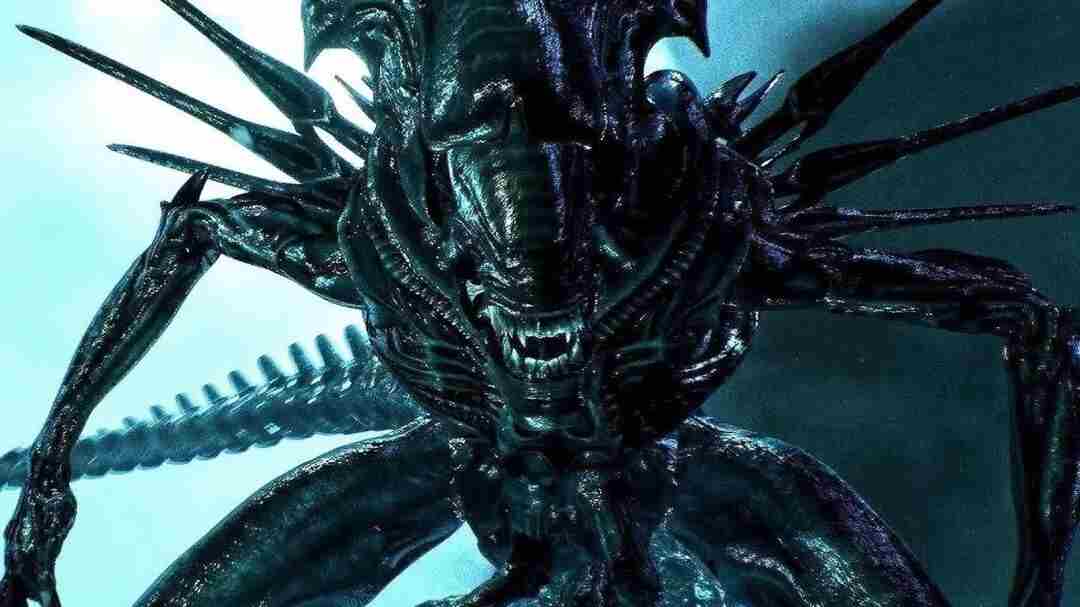 2025年死亡录像海龟汤题目及答案