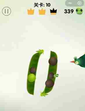 疯狂的鸽子游戏攻略 鸽子一直关着好不好