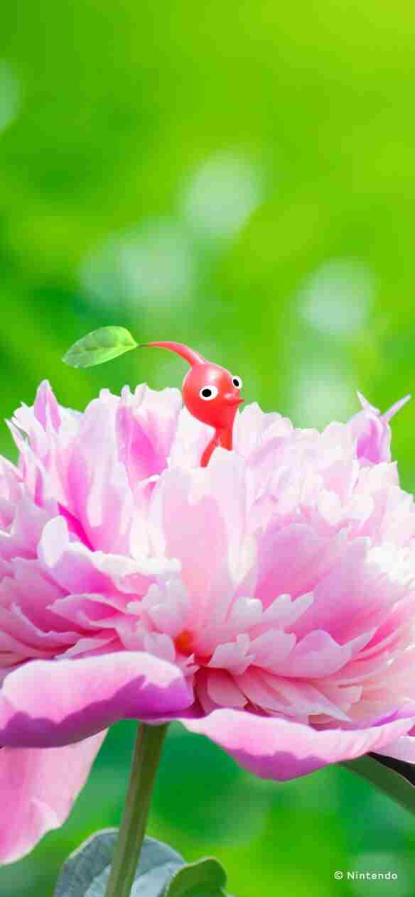 公開為首次遊玩皮克敏的玩家而設的皮克敏4影片。