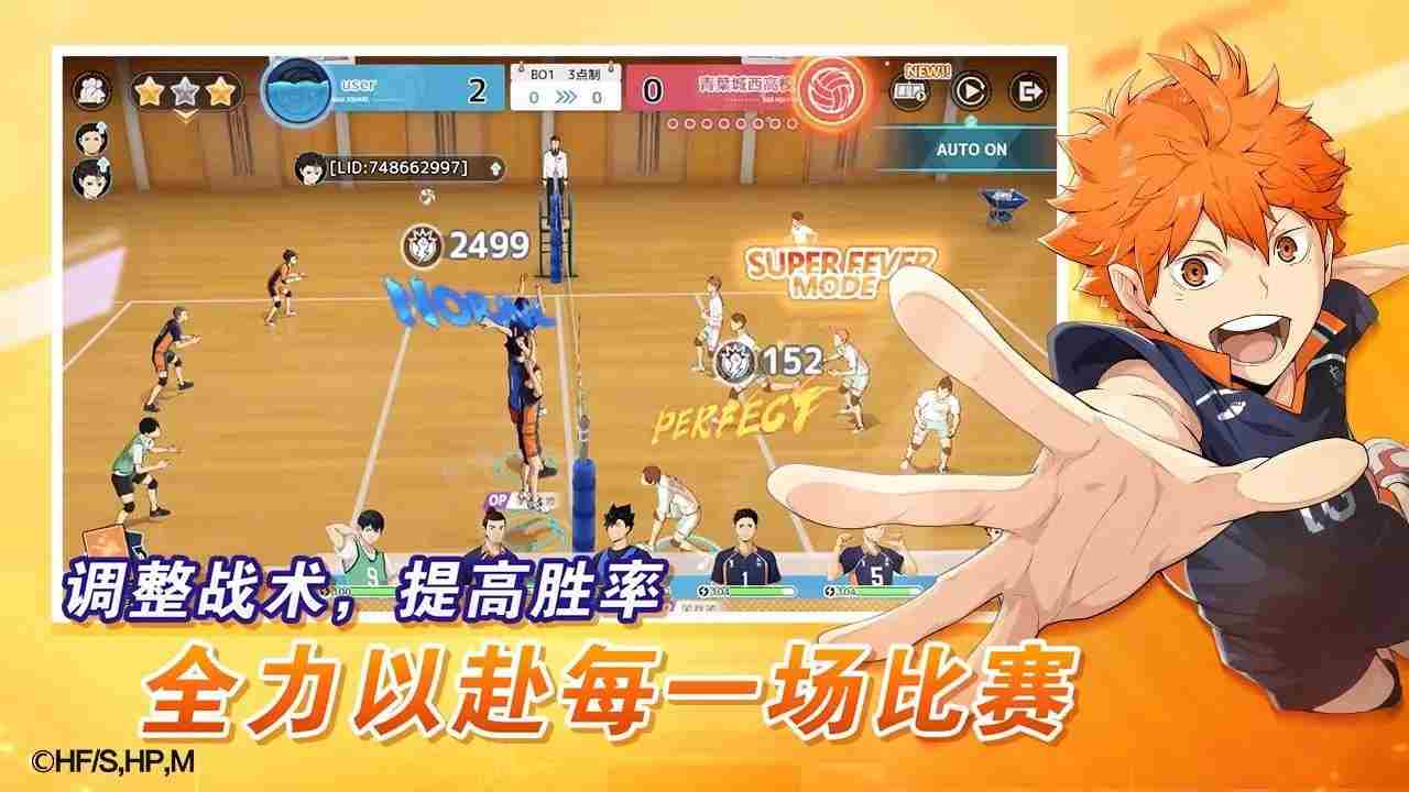 专题·排球少年:新的征程正式上线