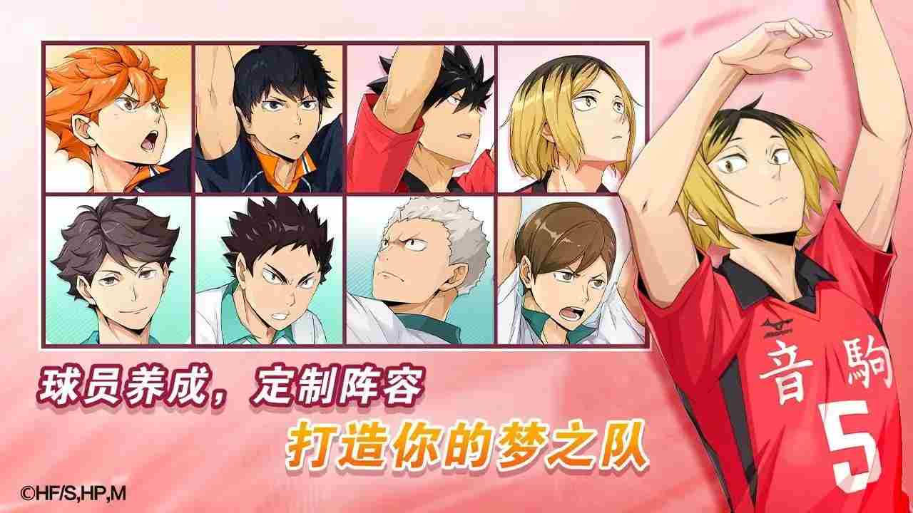 专题·排球少年:新的征程正式上线