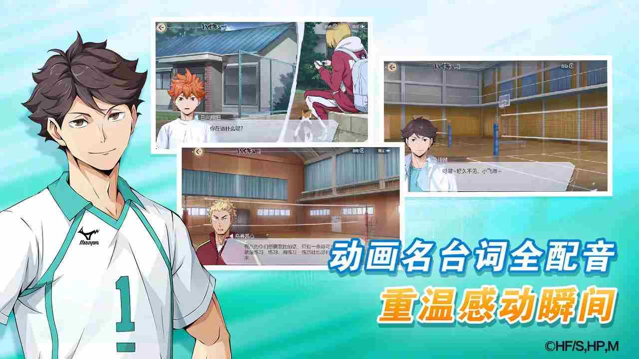 专题·排球少年:新的征程正式上线