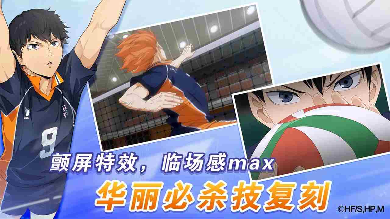 专题·排球少年:新的征程正式上线