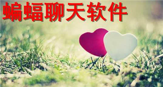 蝙蝠聊天软件